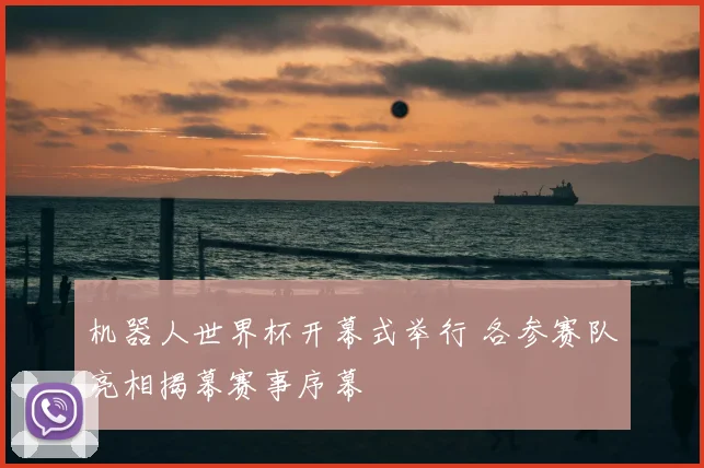 机器人世界杯开幕式举行 各参赛队亮相揭幕赛事序幕
