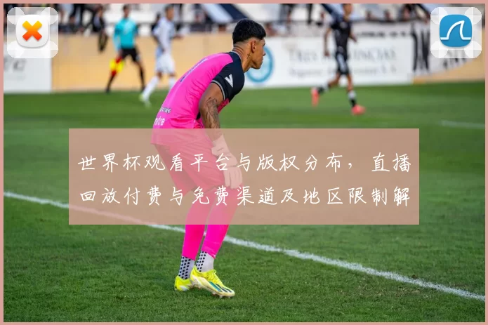 世界杯观看平台与版权分布，直播回放付费与免费渠道及地区限制解读