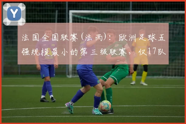 法国全国联赛(法丙)：欧洲足球五强规模最小的第三级联赛，仅17队