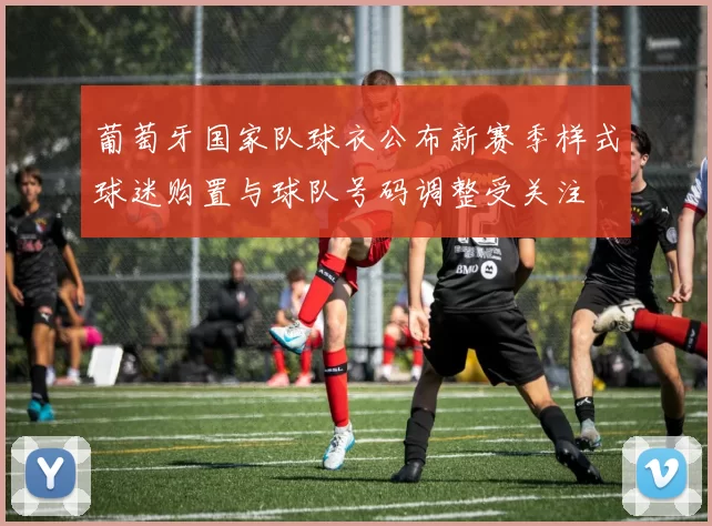 葡萄牙国家队球衣公布新赛季样式球迷购置与球队号码调整受关注