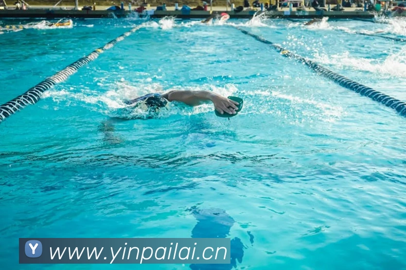 多媒体互动体验